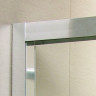 Душевые двери Radaway Premium Plus DWD 150 (33393-01-01N)