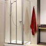 Душевая стенка Radaway Treviso S 100 (32423-01-01N)