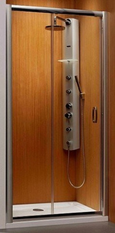 Душові двері Radaway Premium Plus DWJ 100 (33303-01-01N)