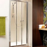 Душові двері Radaway Treviso DW 100 (32323-01-01N)