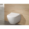 Унітаз підвісний Villeroy&Boch Subway 2.0 Direct Flush (5614R201)