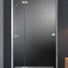 Душові двері Radaway Fuenta New DWJ 110L, ліві (384015-01-01L)