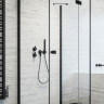 Душевая стенка Radaway Essenza New Black KDJ+S 110 (384053-54-01)