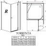 Душова кабіна Radaway Torrenta KDJ, права, 120x80 (32232-01-01NR)
