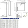 Душова кабіна Radaway Essenza New KDD-B, права, 100x100 (385072-01-01R)