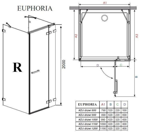 Душова стінка Radaway Euphoria KDJ S1 80 (383051-01)